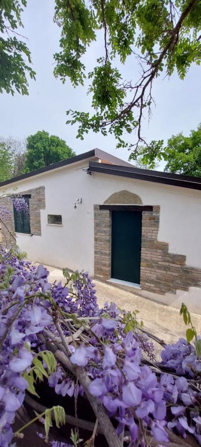 Agriturismo Terranova Pisticci Εξωτερικό φωτογραφία